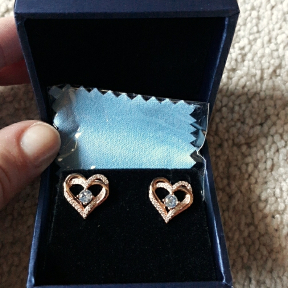 NWT Gold Heart Earrings
